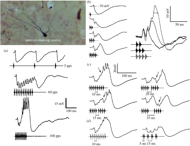 Figure 7.