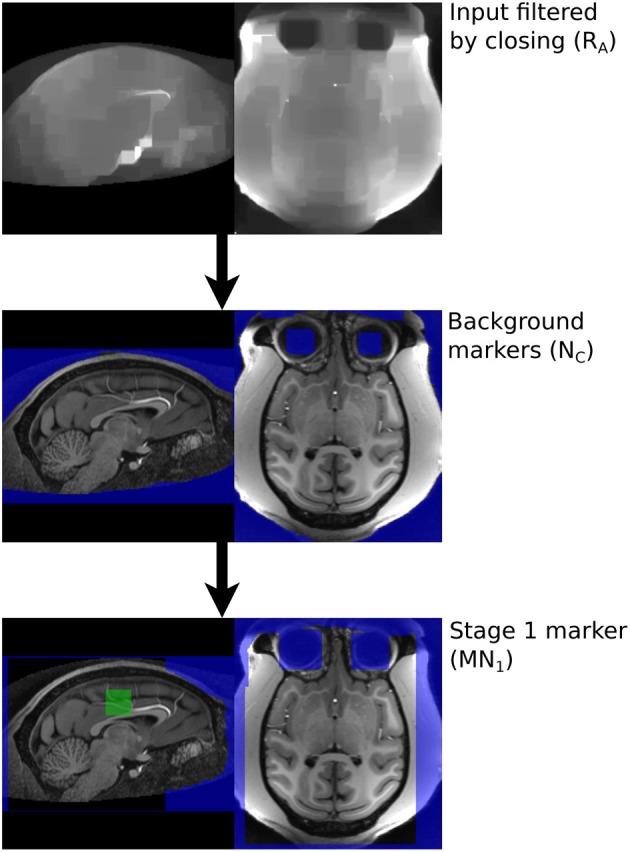 Figure 7