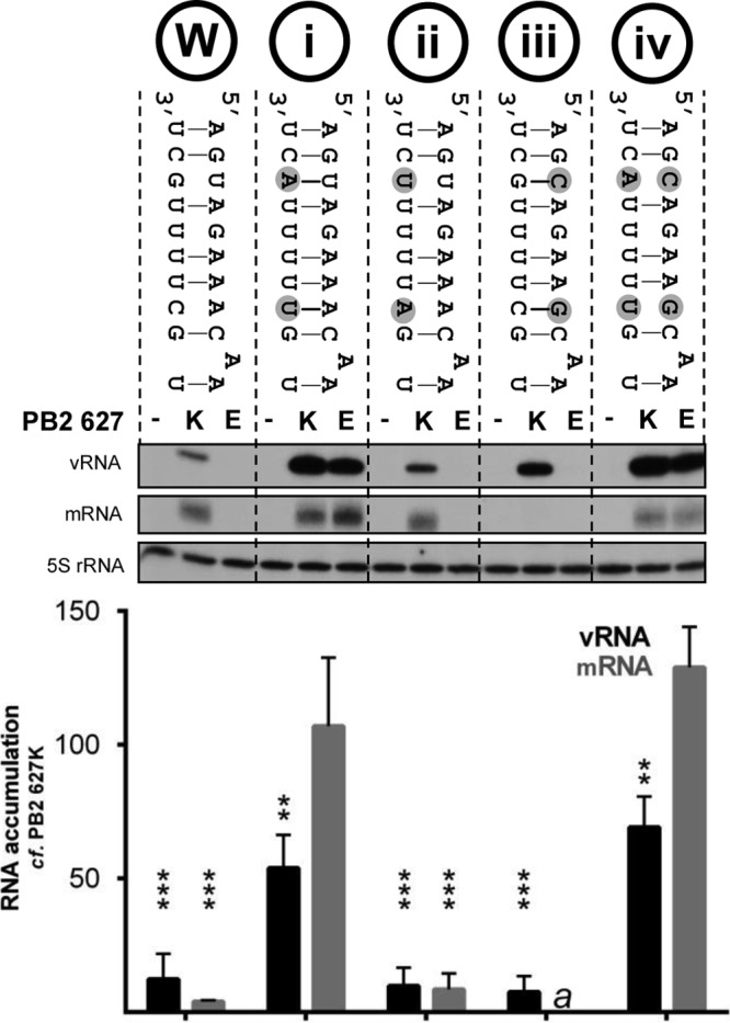 FIG 4