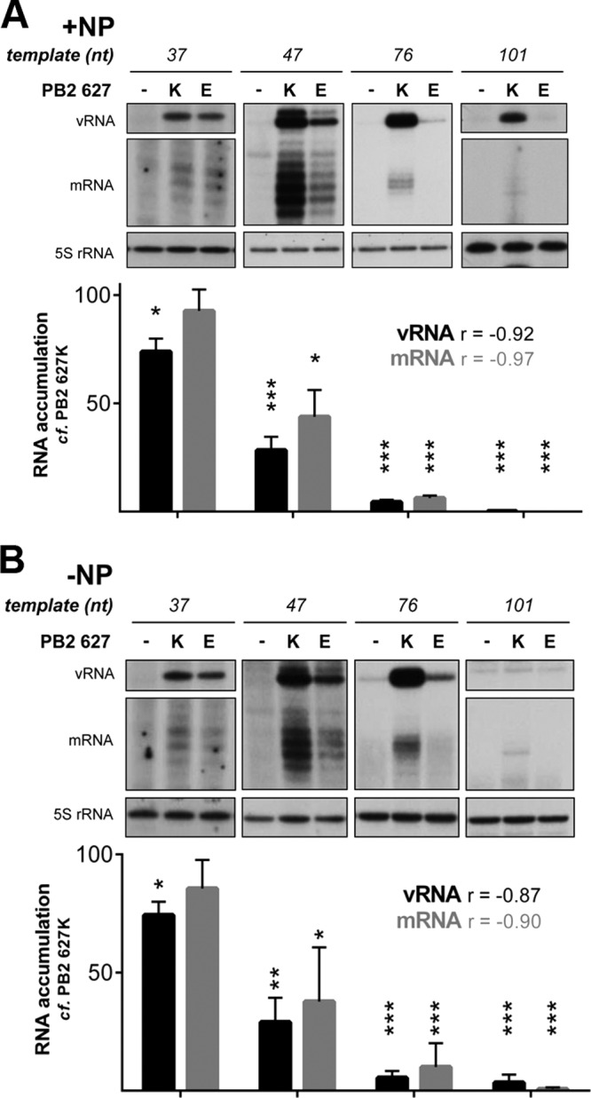 FIG 2