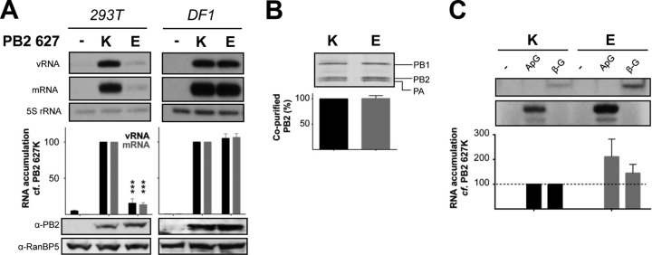 FIG 1