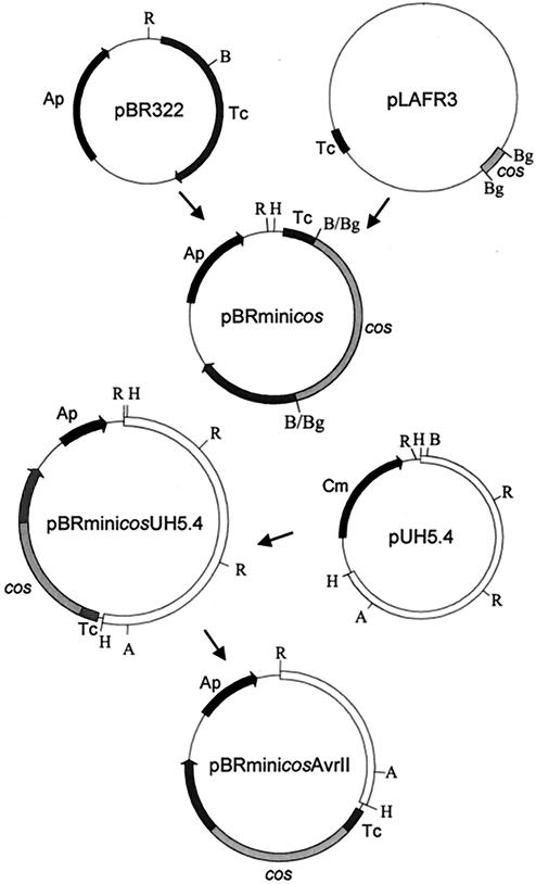 FIG. 3.