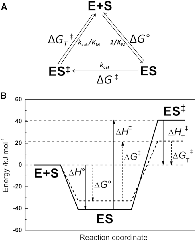 Figure 8