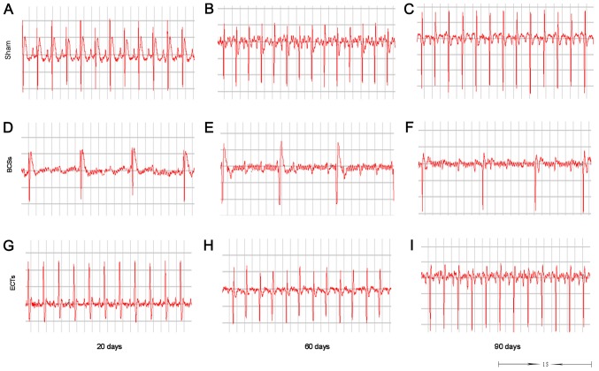 Figure 10.