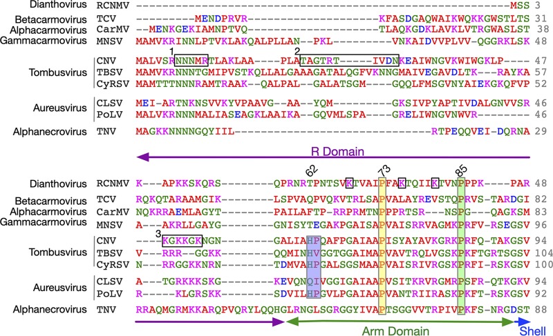 FIG 6