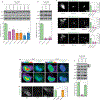 Extended Data Fig. 9: