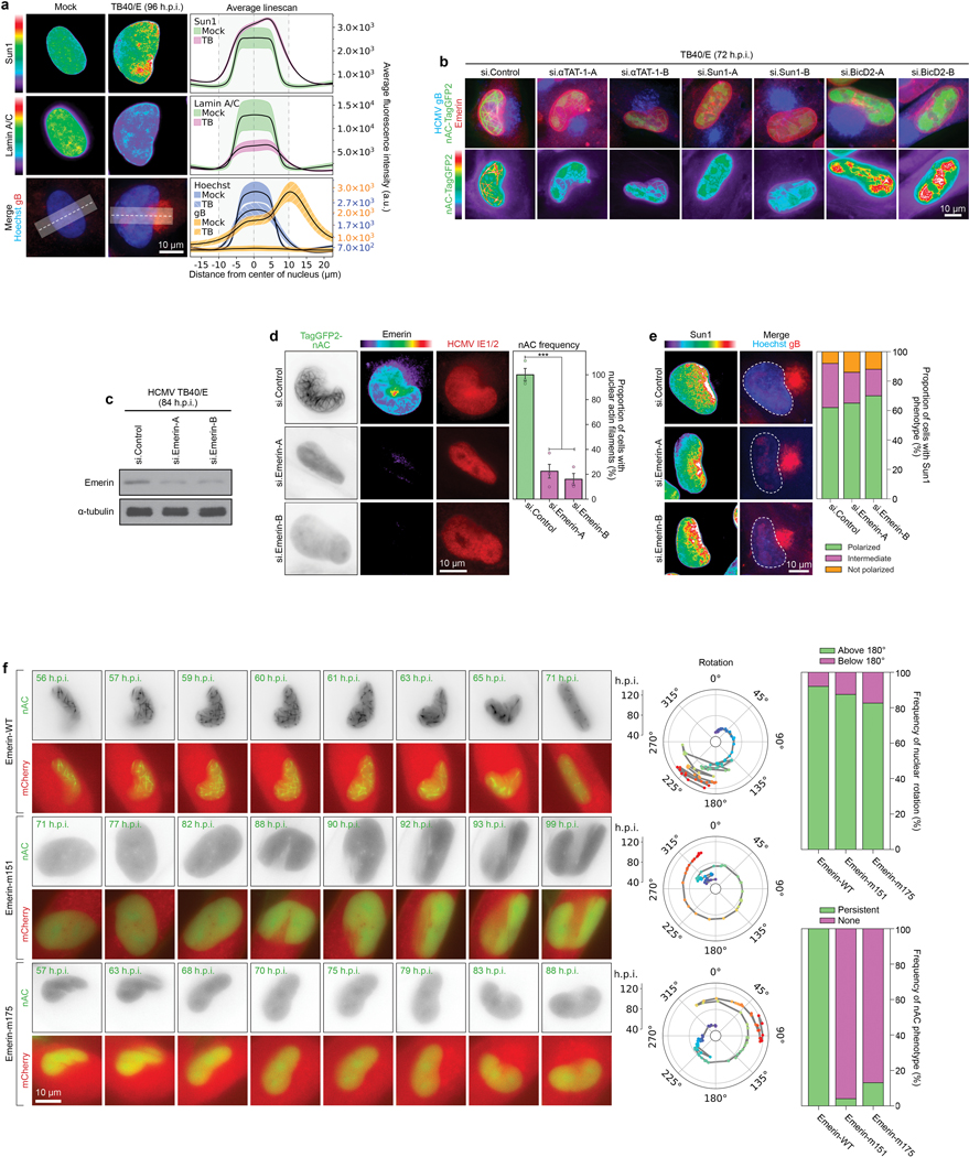 Extended Data Fig. 4: