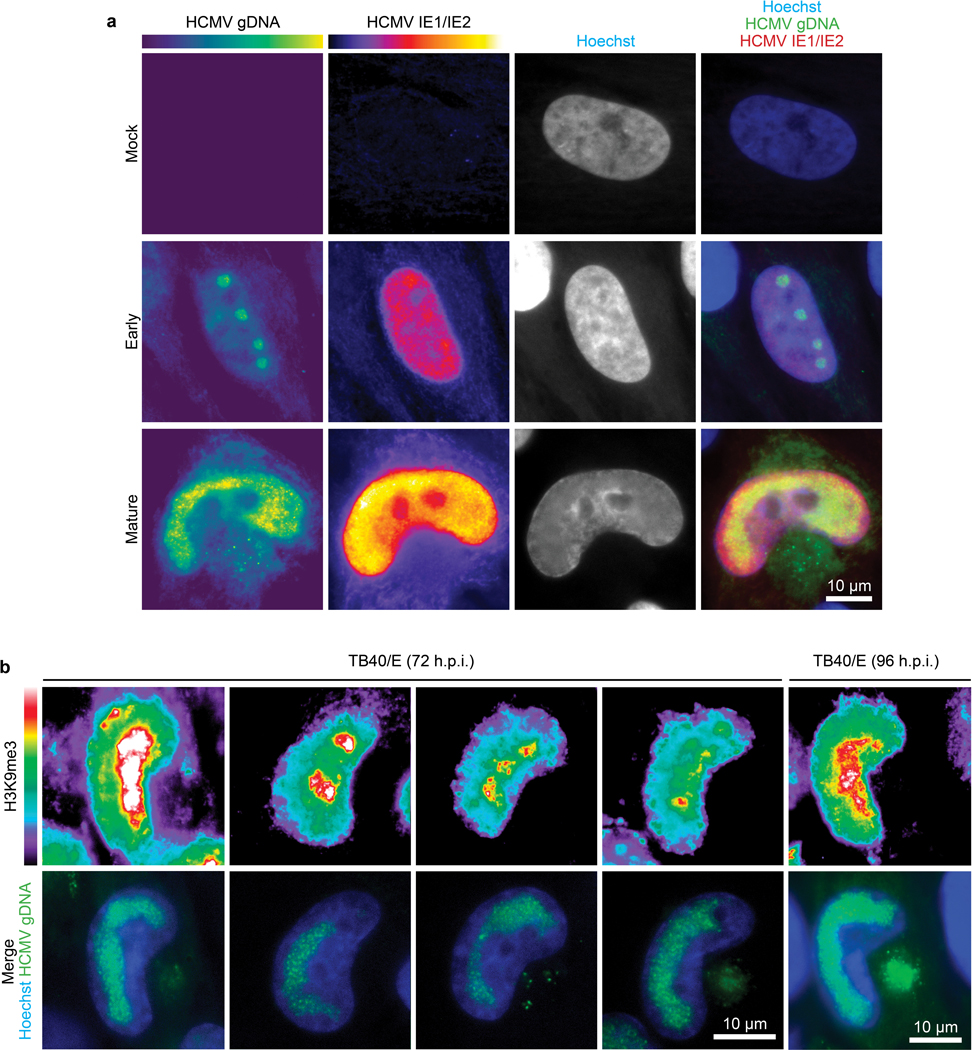 Extended Data Fig. 6: