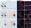 Extended Data Fig. 7: