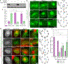 Fig. 2: