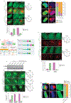 Extended Data Fig. 3: