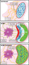 Extended Data Fig. 10: