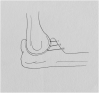 Fig. 7