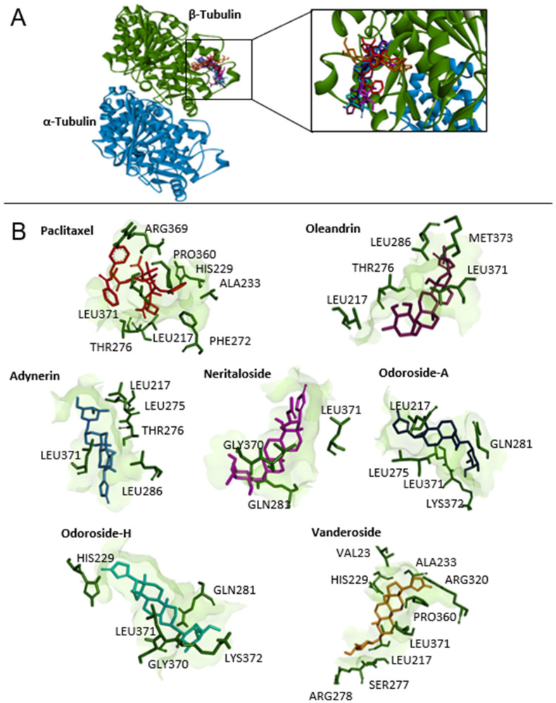 Figure 9