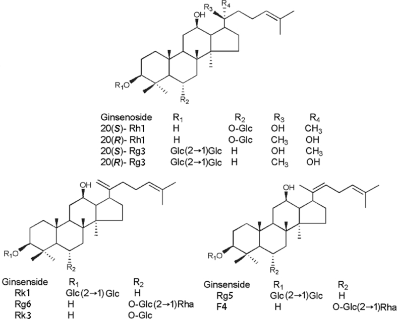 Fig. 1