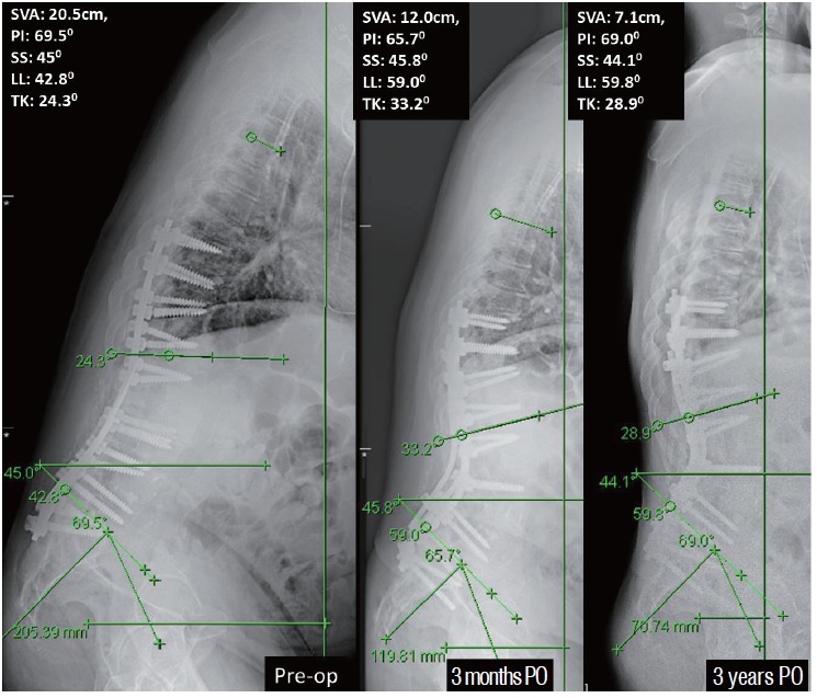 Fig. 6