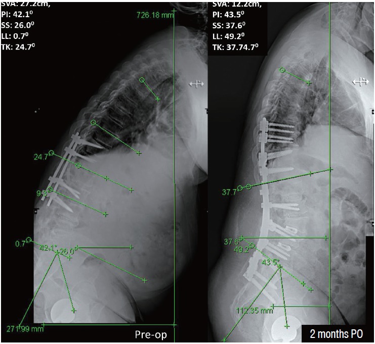 Fig. 5