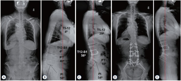 Fig. 3