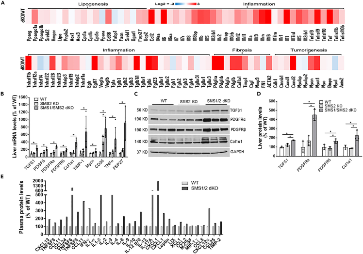 Figure 4