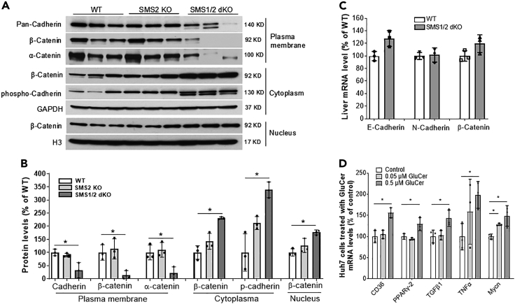 Figure 6