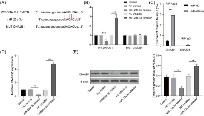 FIGURE 3