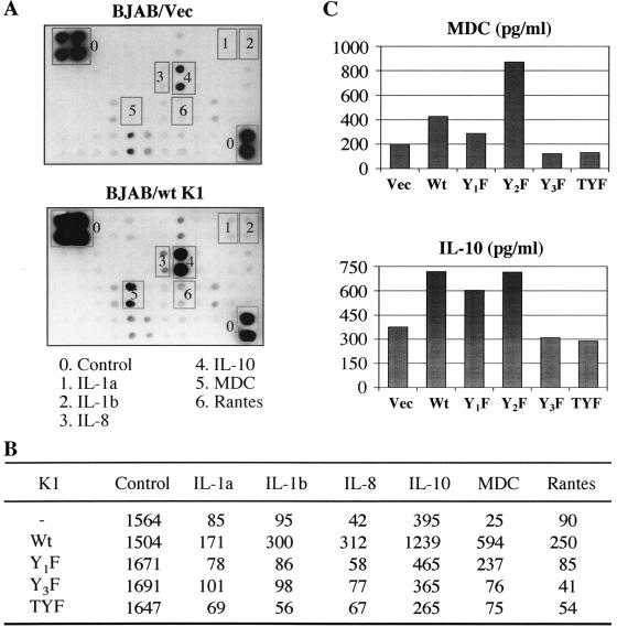 FIG. 6.