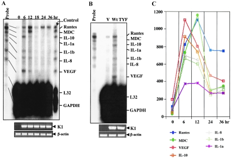 FIG. 7.