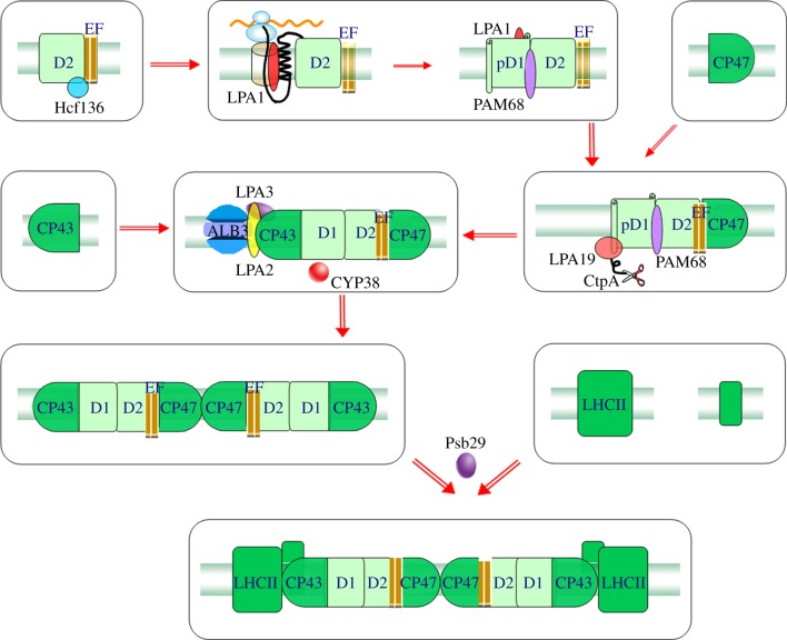 Figure 1.