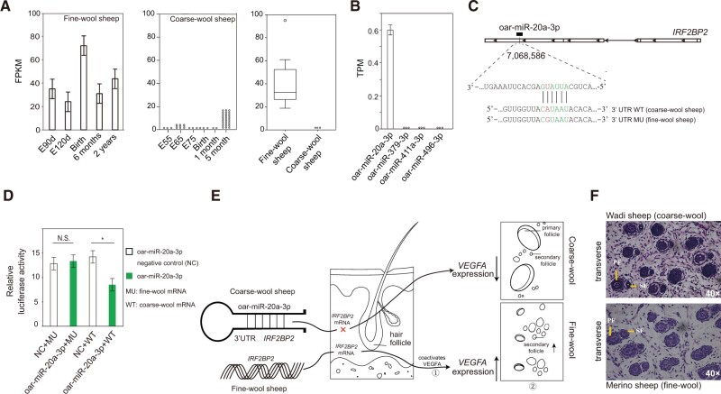 Fig. 8.