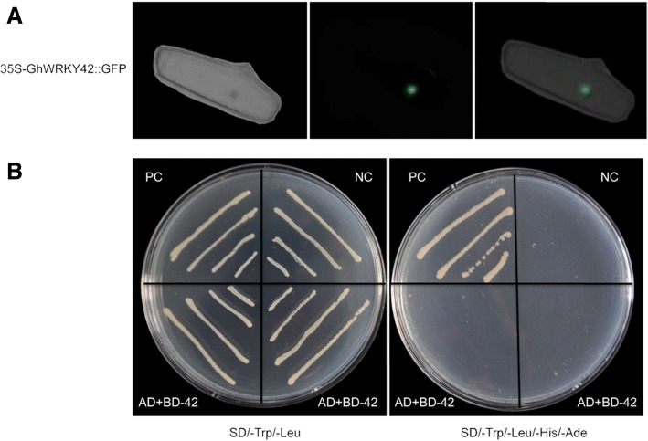 Fig. 3