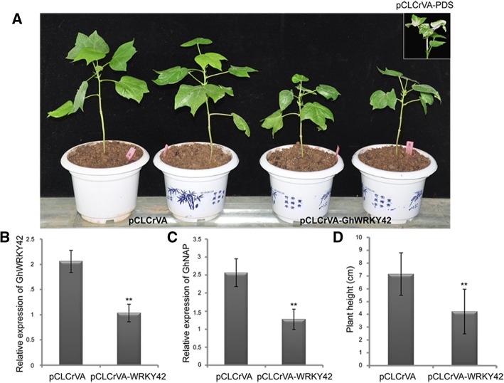 Fig. 9