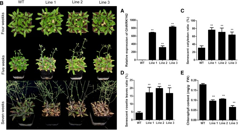 Fig. 7