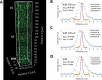 Figure 1—figure supplement 4.