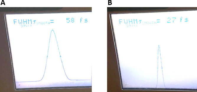 Figure 1—figure supplement 1.