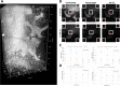 Figure 1—figure supplement 2.