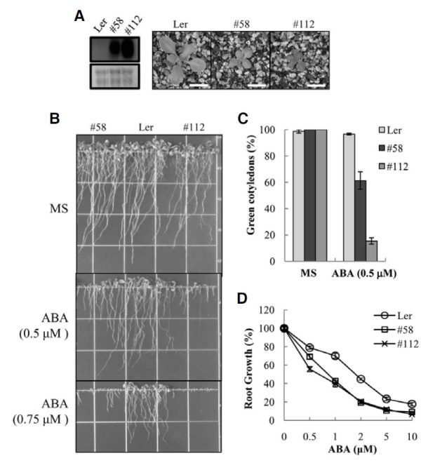 Fig. 3.