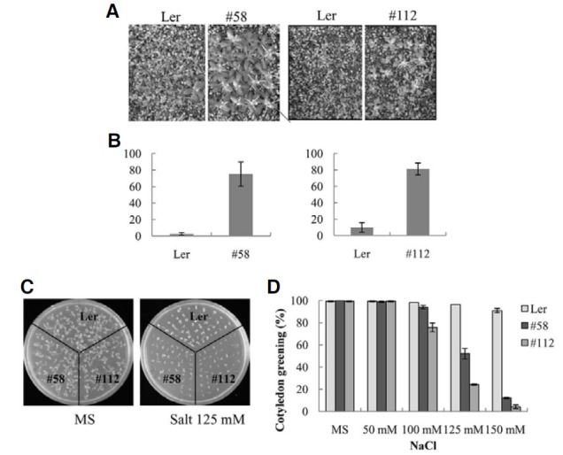 Fig. 4.