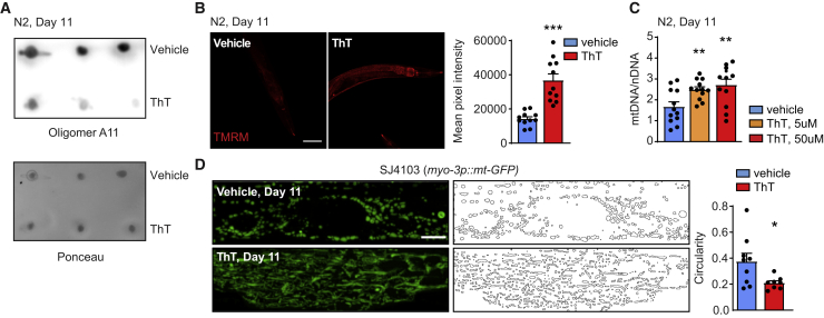 Figure 4