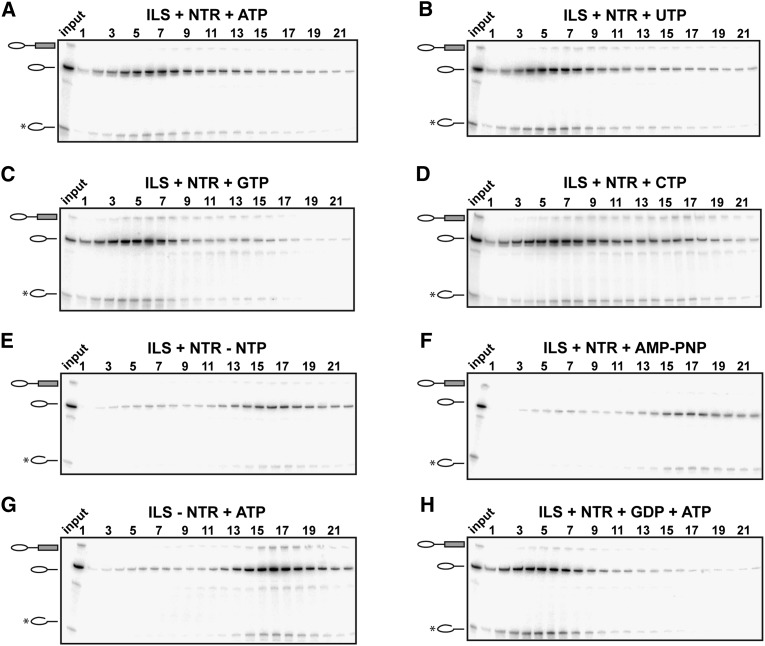 Figure 5.