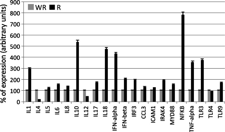 Fig. 3