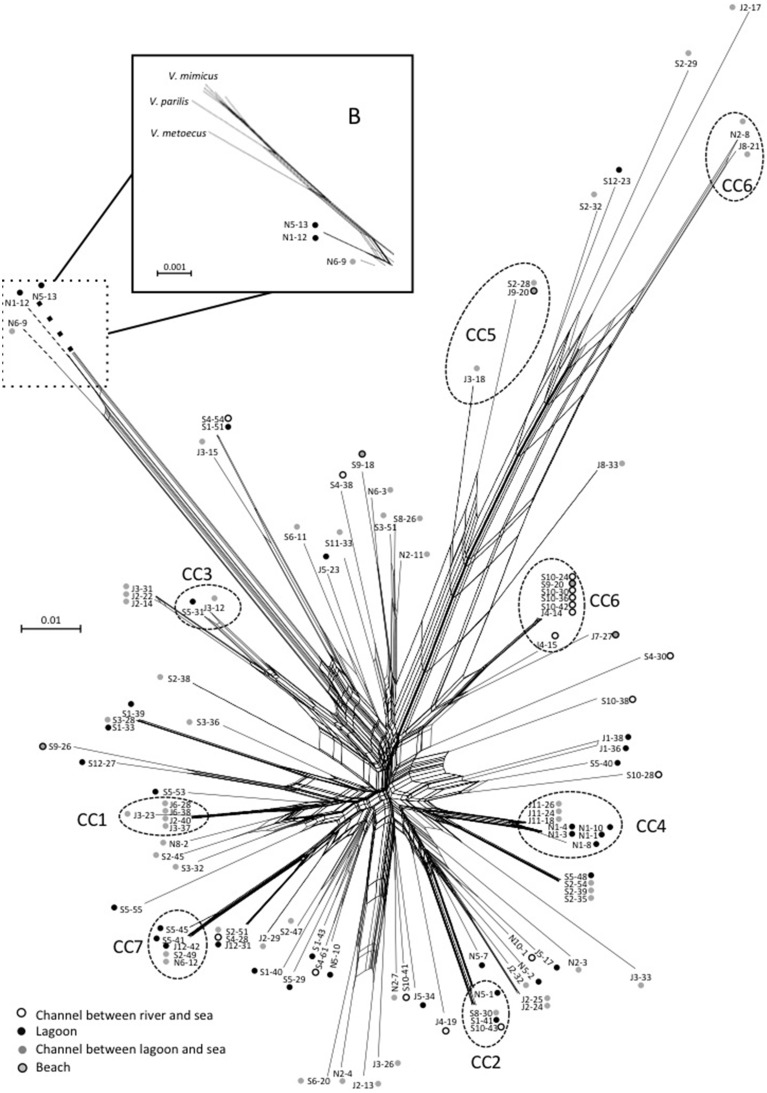 Figure 7