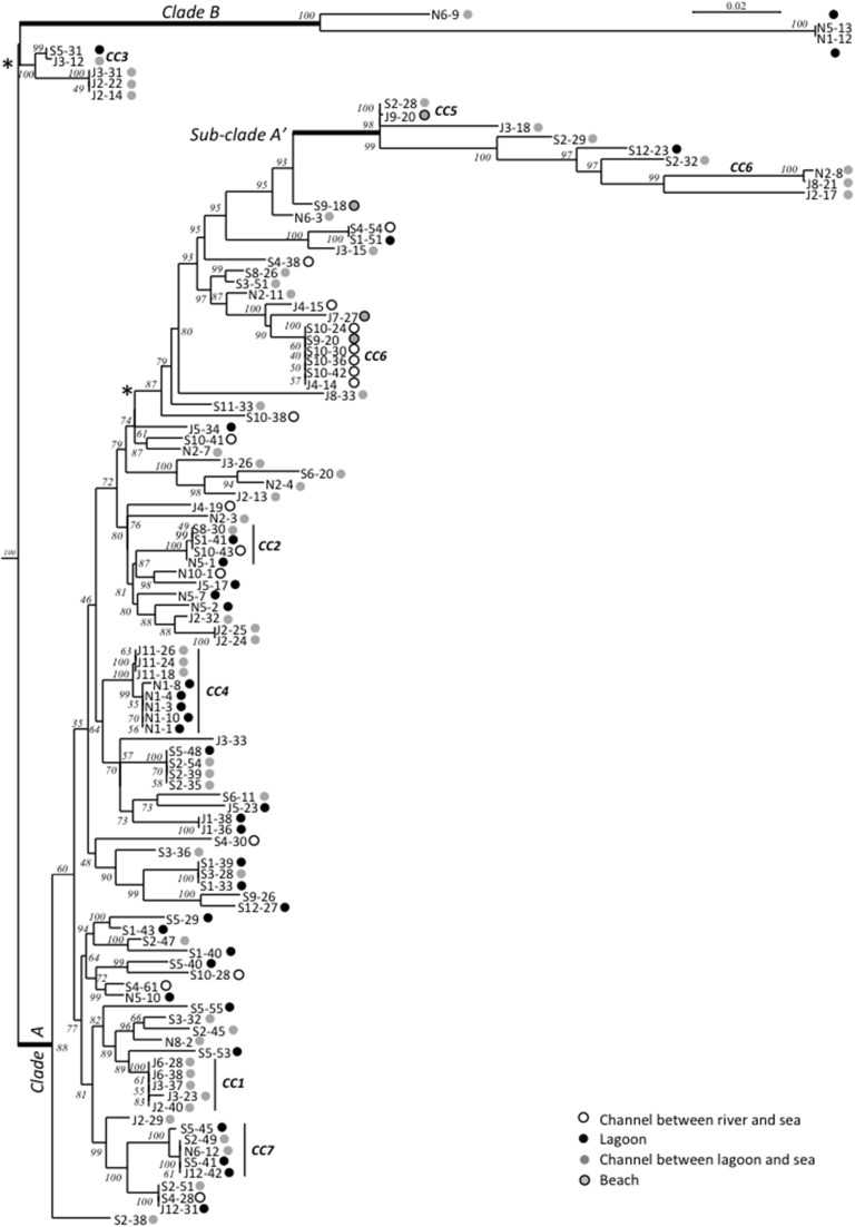 Figure 4