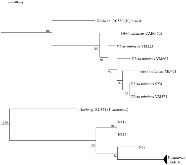 Figure 6