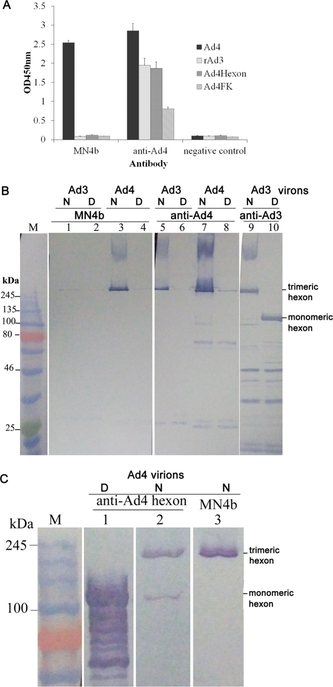 FIG 1