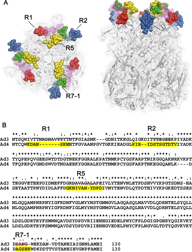 FIG 2