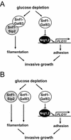 FIG. 7.