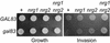 FIG. 3.