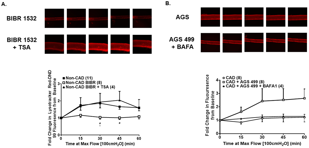 Figure 5: