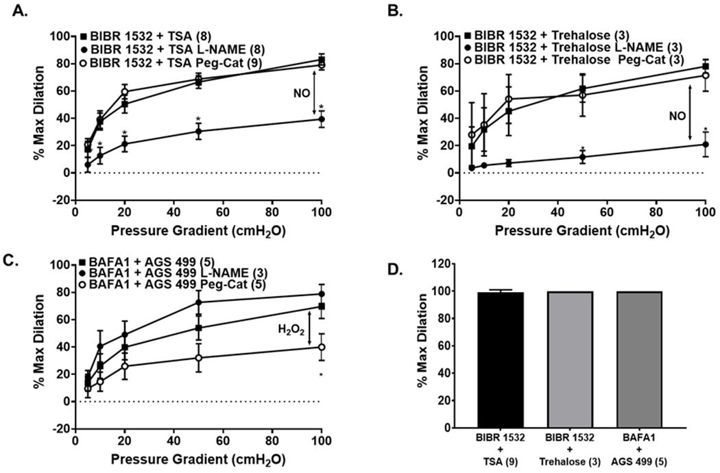 Figure 6: