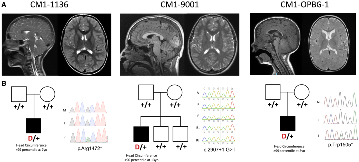 Figure 2